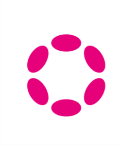 how-to-stake-DOT-with-polkadot{.js}-and-binace